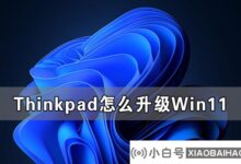 Win11安装失败最完整解决方案总结(win11安装还在处理一些问题快好了)_小白号