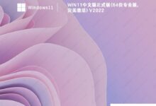 Win11正式下载_Win11中文正式版(64位专业版,完美激活)_小白号