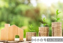 “内外开花”,开年频频释放积极的经济信号。_小白号