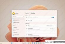 如何在Windows 11上启用夜灯?三种方法教你!_小白号