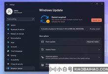 如何安装Windows 11 KB5005188补丁?_小白号