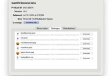 苹果macOS Sonoma 14、tvOS/HomePod 17和watchOS 10的第二次测试版发布。_小白号