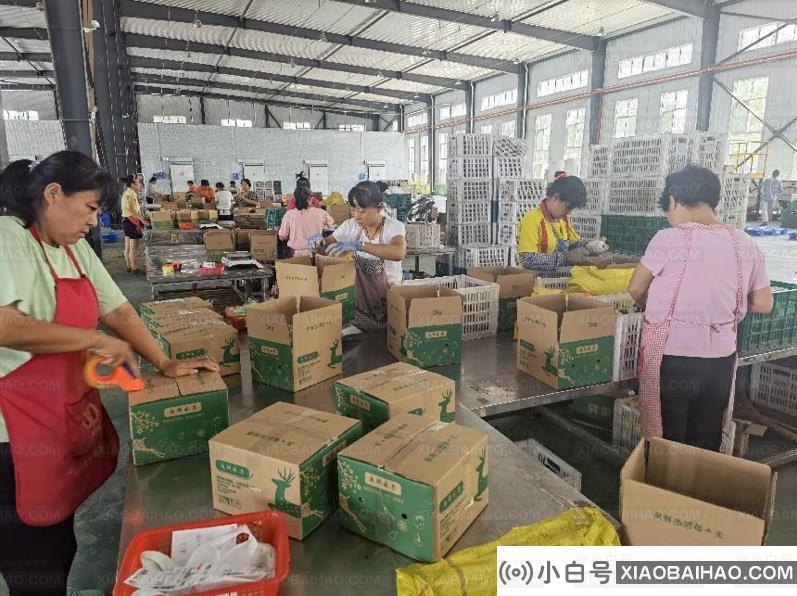 秦岭北麓的县城承包了你秋天的“第一次特区盛宴”。-小白号