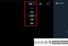 钉钉电脑版打开后系统变慢怎么办?(电脑钉钉启动很慢)_小白号