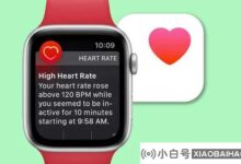 苹果正在招募具有临床产品开发经验的心脏病专家。_小白号