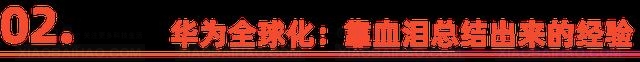 备战2025出海业务：选对VPS，让你不再是“孤勇者”插图1