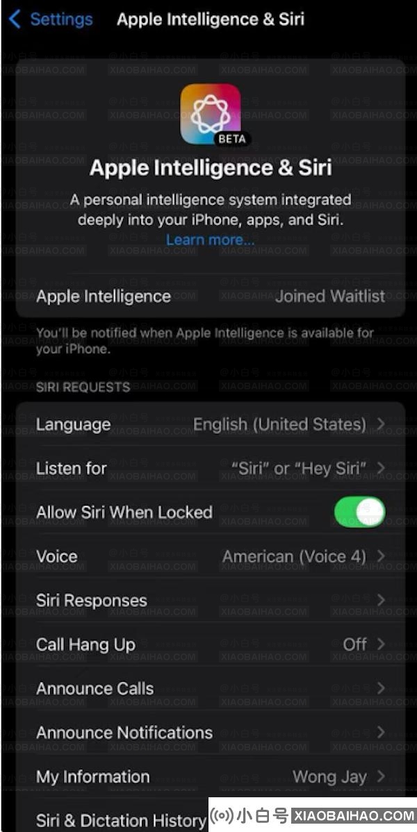 iOS 18.1 开发者预览版 Beta 发布，iPhone 15 Pro / Max 独享