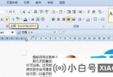 WPS如何快速输入商标符号WPS如何快速输入商标符号?_小白号