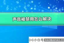 win10系统声音被禁用。怎么挽回?(win10体系没有健全有效的处理方式)_小白号