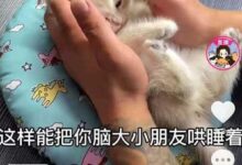 抖音视频如何上传k歌作品_抖音视频上传k歌作品教程(Tik Tok可以上传k歌作品吗)_小白号