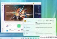 如何修复微软商店在Windows 11上无法运行?_小白号