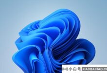 win11升级教程(win10升级win11教程)_小白号
