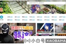 edge浏览器如何安装网页作为应用(如何在电脑上下载Edge浏览器)_小白号
