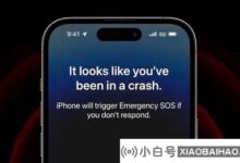 官方客服回应iPhone 14过山车自动报警:太像车祸的环境条件。_小白号