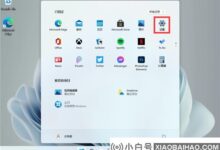 如何将Win11升级到最新正式版?Win11升级到最新正式版的操作方法(win11如何直接升级)_小白号