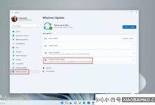 Win11 Dev频道可以改成Beta吗?关于从开发频道切换到测试频道的详细教程_小白号