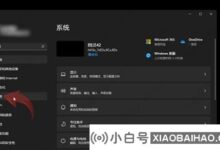 win11如何设置默认播放器?win11默认玩家设置教程_小白号