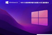Win10纯版下载_Win10系统纯版专业版[64位]最新版本_小白号