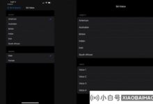 IOS 14.5不再默认为女声英语Siri增加两个音。_小白号