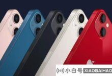 预计2022年苹果iPhone总产量为2.2亿台,销量不会下滑。_小白号