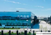 传祺森林计划推出无糖可乐味饮料,回应是:确实在研发中(能量森林饮料真的无糖吗?)_小白号