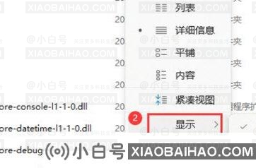 Win11如何展示文件扩展名？Win11展示文件扩展名的方法