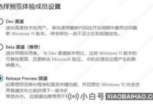 win11发布预览是什么意思?win11发布预览频道详情_小白号