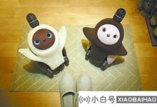 日本人气宠物机器人陪伴生活(日本人气宠物机器人陪伴生活电影)_小白号