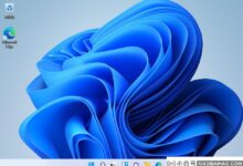Win11浏览器工具栏找不到?Win11浏览器工具栏找不到解决方案(windows10工具栏无法点击)_小白号