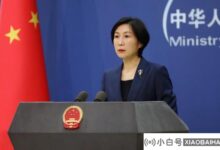 外交部回应美国政府调查华为手机芯片:制裁阻挡不了中国发展_小白号