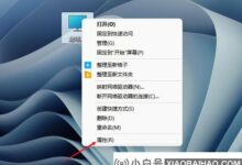 Win11虚拟内存怎么设置?Win11设置虚拟内存教程(如何在windows10系统中设置虚拟内存)_小白号