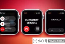 Apple Watch将支持卫星通信,并具有温度传感器,但并不像预期的那样。_小白号