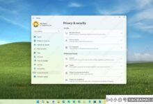 如何在Windows 11上从微软账号切换到本地账号?_小白号