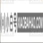 win11如何卸载网卡驱动?win11卸载网卡驱动的方法(win10如何卸载无线网卡驱动)_小白号