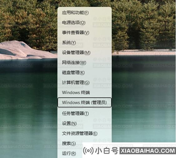 Win11应用商店怎么更新新版？应用商店更新教程