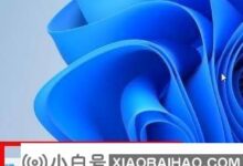 Win11应用商店无法连接互联网?Win11应用商店无法联网。解决方案(win11应用商店问题)_小白号