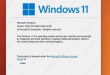 如何使用Win11 22H2中的直播字幕功能?_小白号