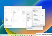 如何在Windows 11上修复一个很大的Windows.db?_小白号