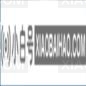 如何解决Win11中微软商店错误代码0x80070483？-小白号