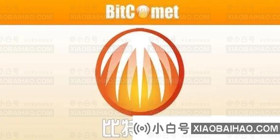 除了迅雷，还有什么可以下载BT种子？十个BT下载软件不输迅雷-小白号