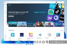 Windows 11很好用。为什么有的人杀了之后不更新?原因已经找到了。_小白号