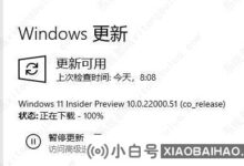 win11更新卡100%不动怎么办?_小白号