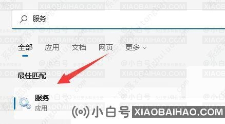 Win11系统如何关闭输入体验？Win11系统关闭输入体验的方法