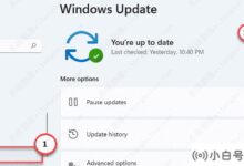 Win11系统提示如何处理文件系统错误805305975。_小白号