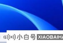 如何将项目隐藏在Win11搜索栏中?   如何在Win11搜索栏中隐藏项目(如何隐藏windows搜索框)_小白号