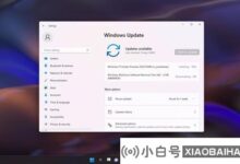 今年最后一次更新!Win11 22523预览新版本一目了然_小白号