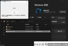 如果我的Win11更新失败了8%,该怎么办? 无法将Win11更新为8%的解决方案_小白号