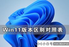 Win11版本之间差异的比较表,以区分Win11版本(win 11版本)_小白号