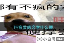 Tik Tok的疯狂文学梗是什么意思?Tik Tok疯狂文学梗的由来和意义介绍(Tik Tok梗是什么)_小白号