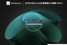 系统主页win11 22H2专业版ISO映像(最新驱动程序包)_小白号